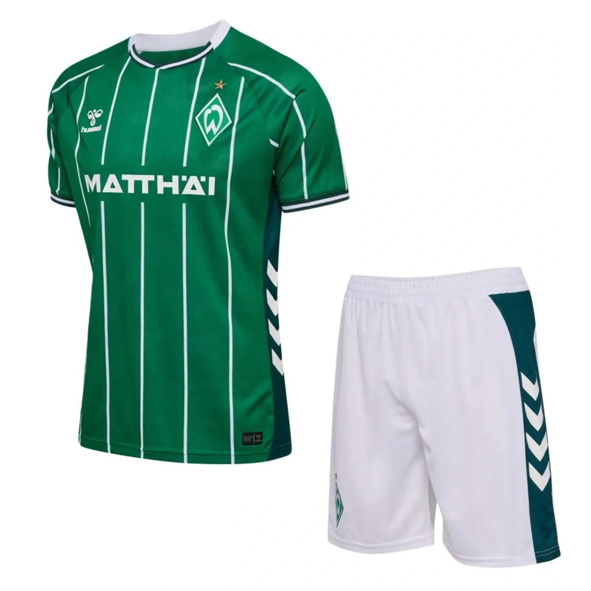 Camisa Werder Bremen 25/26