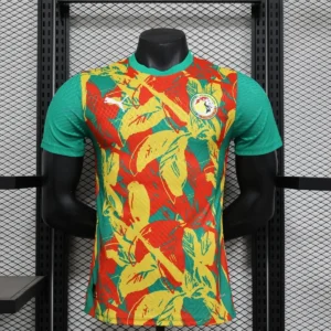 Camisa Pré-Jogo Senegal 2025 - Versão Jogador