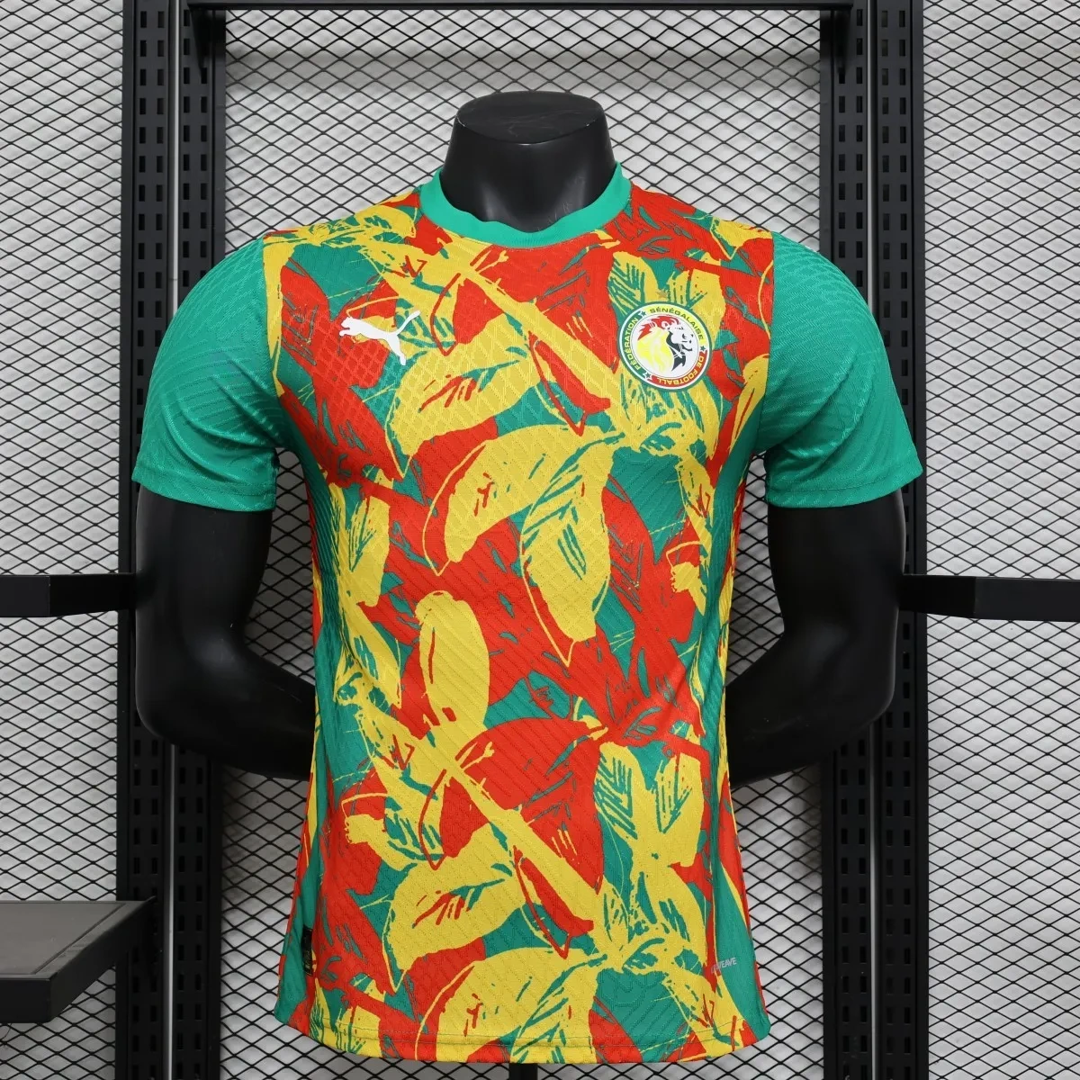 Camisa Pré-Jogo Senegal 2025 - Versão Jogador
